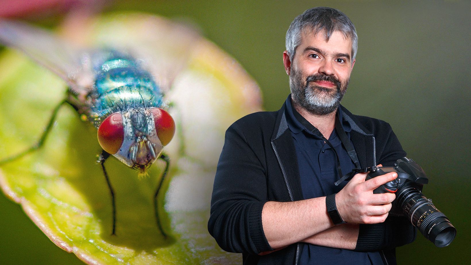 Introduction to Macro Photography