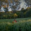 Chevrolet -  Lo mejor de dos mundos . Een project van  Creativiteit, Audiovisuele productie y  Videobewerking van Dana Campanello - 18.12.2021