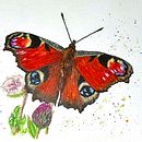 Peacock Butterfly Ein Projekt aus dem Bereich Bildende Künste, Naturalistische Illustration, Traditionelle Illustration, Malerei und Aquarellmalerei von Judy - 31.03.2022
