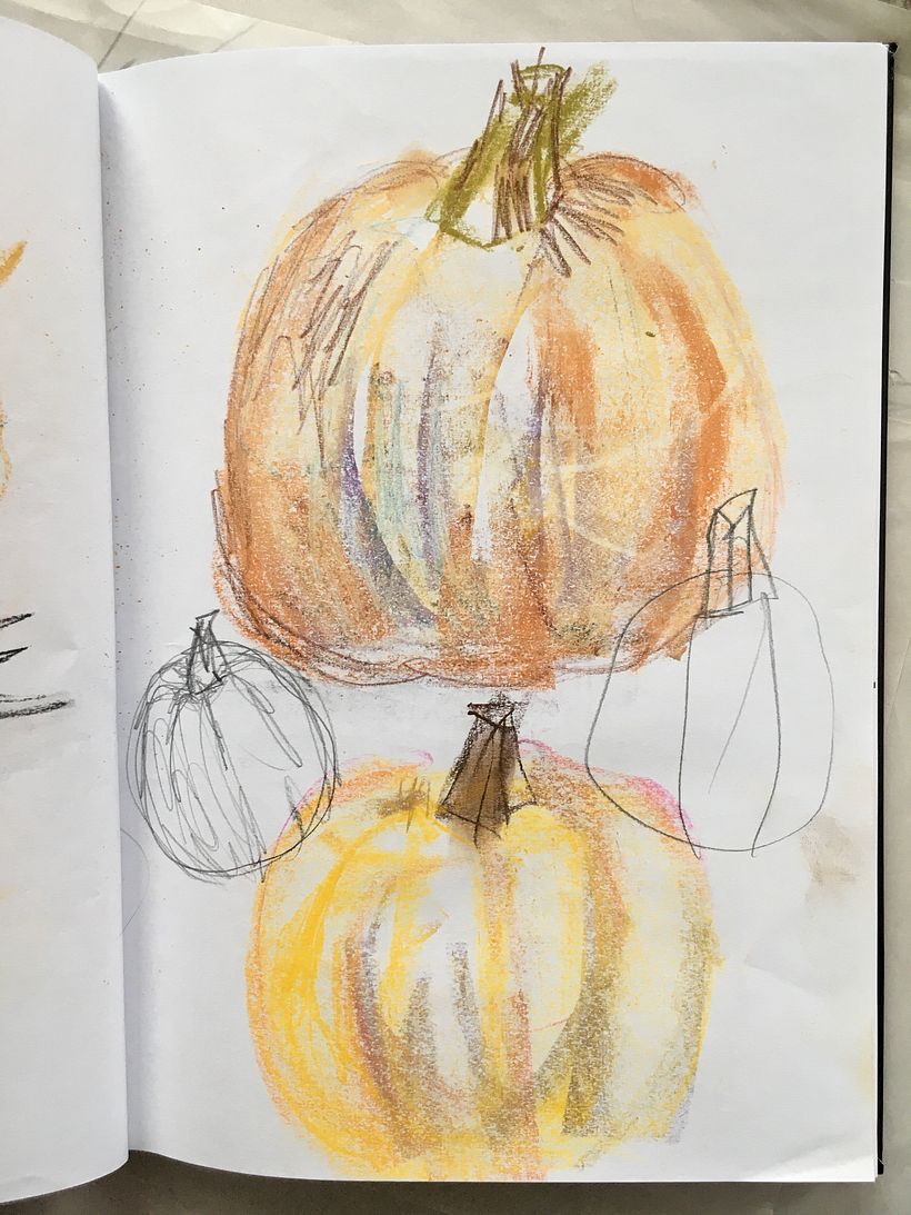 My project in Illustrating Nature: A Creative Exploration course 3