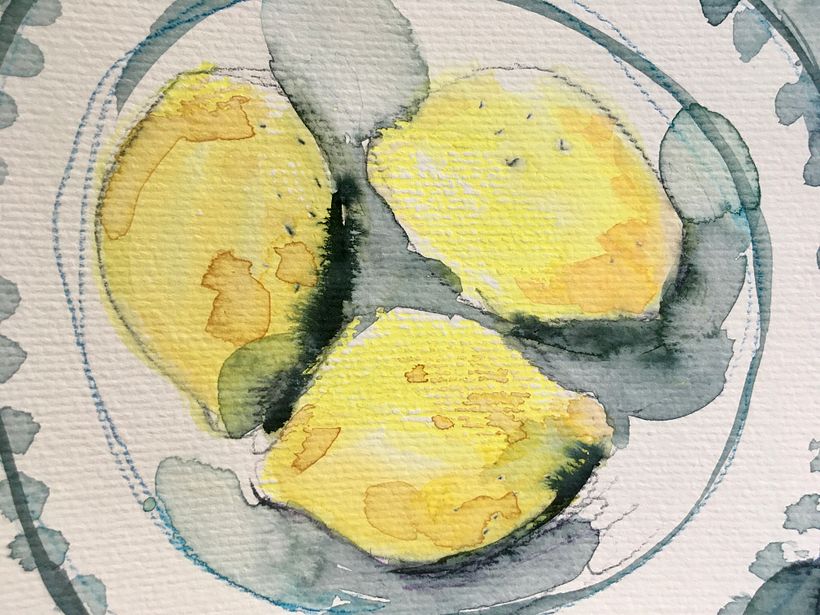 My project in Illustrating Nature: A Creative Exploration course 5