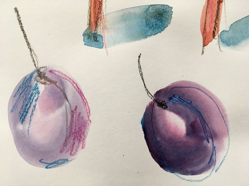 My project in Illustrating Nature: A Creative Exploration course 14