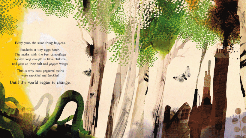 Works by children's book author Isabel Thomas.